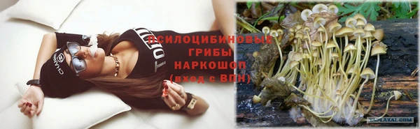 дживик Баксан